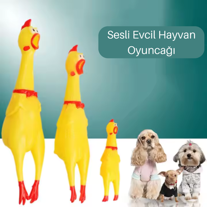 Sesli Popüler Tavuk Oyuncağı - Kedi/Köpek